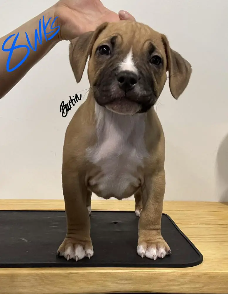 Bartin's Southern Hospitality