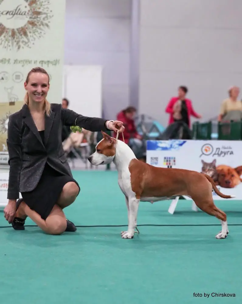 BONAVENTURA GOLD LUNA ROSSA
