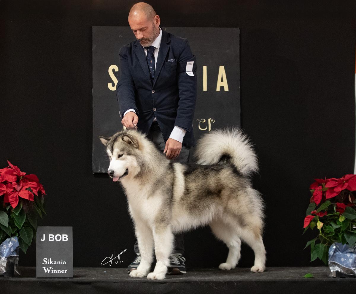 Kurjak RD Fly Us To The Moon