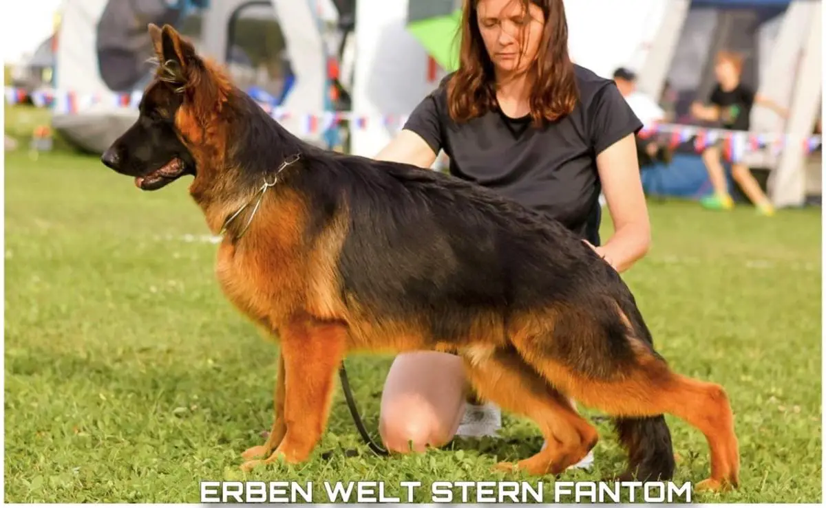 Erben Welt Stern Fantom