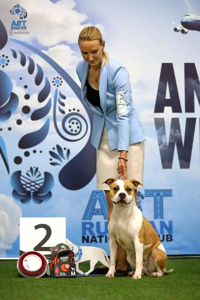 СICCONE LOUISE IRISS DELUX