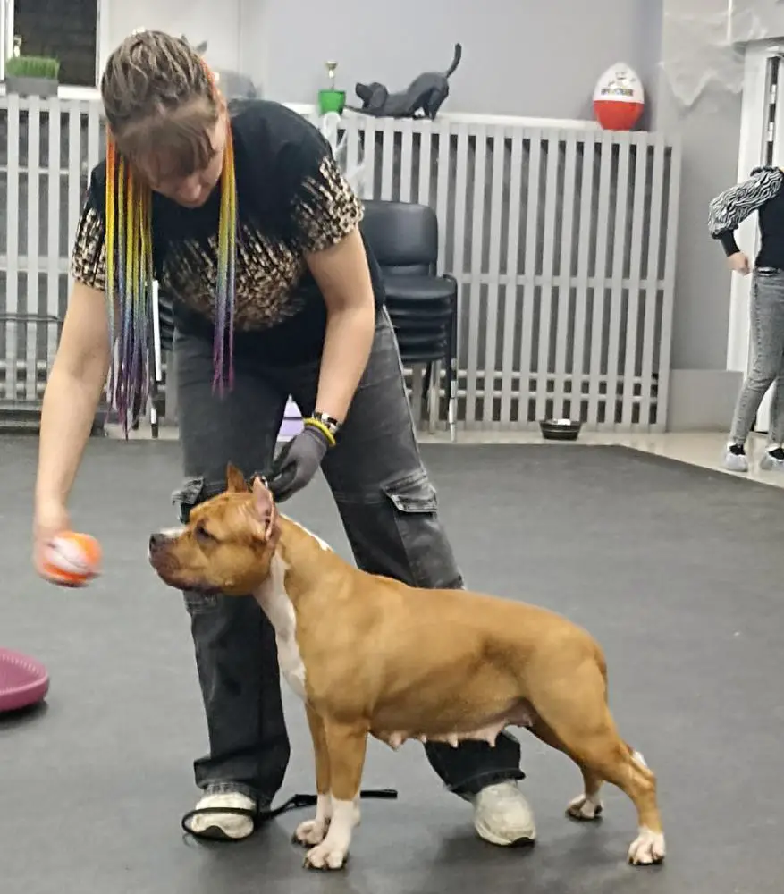 INSPIRES RESPECT VIVIEN LEE