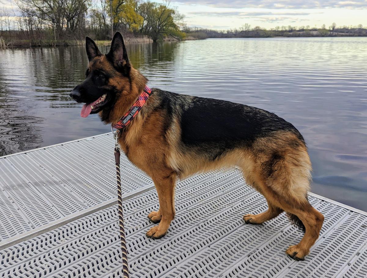 Storm-Echo Vom Brimka Haus