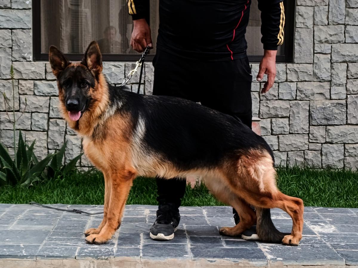 Ilusion von Haus Aton