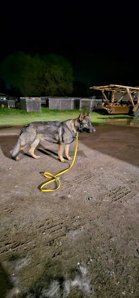 Liberty Freedom Fafo Garcia