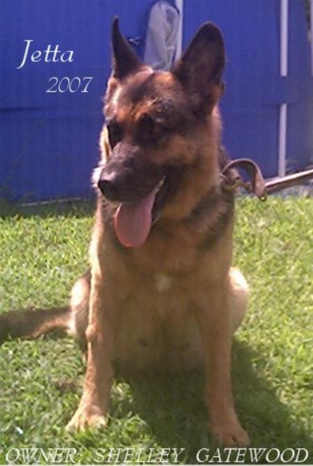 von castle german shepherds