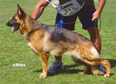 Haus Wiener S Felina