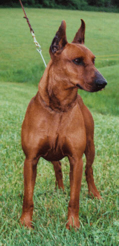 LAZAR des Charmettes