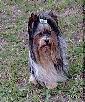 Donald von der Puppi Ranch