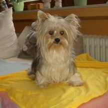 Santonio vom Schloß Burgk