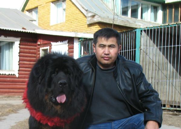Mongolia va-1 baavgai