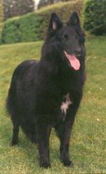 Bettina du Parc de l'Hay