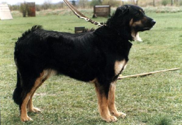 Bonny von Ascona