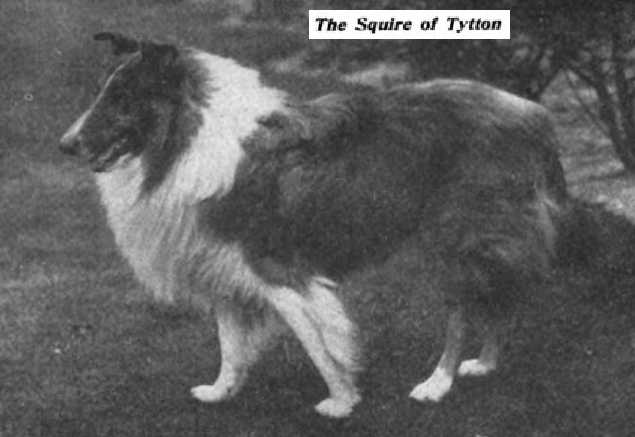 Squire Of Tytton