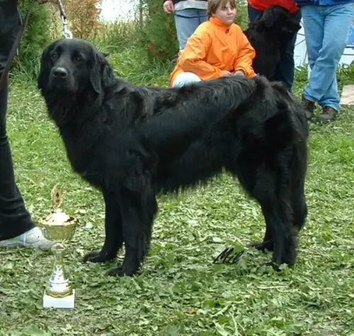 Adaly Biely Démon