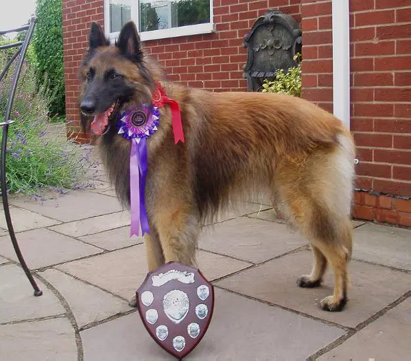 Bergeau From The Flames To Everquest