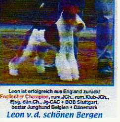 Leon von den schönen Bergen