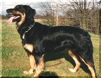 Anina vom Lennart Heim