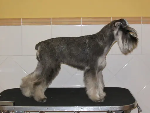 Truska de Peñafiel