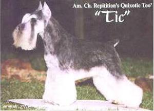 Repitition's Quixotic Too