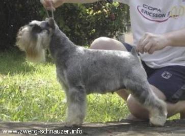 Evidence da Boa Barba