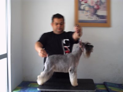 Tammy Mameluco's da Boa Barba