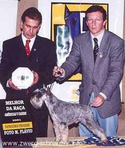 Ouro de Sellium
