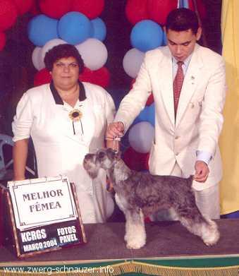 Raposinha de Sellium