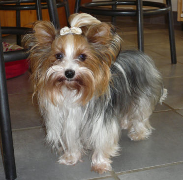 Lucie von der Burg-Stadt