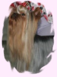 Hunderwood Octopussy