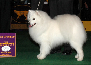 Nuuktok's Atka Inukshuk
