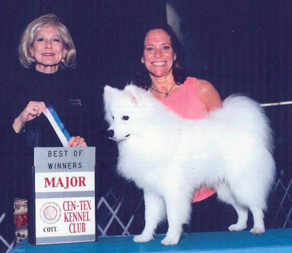 Portland Paws for Progress