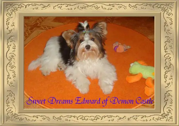 Sweet Dreams Edward of Demon Castle