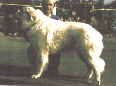 Fontvive du Comte de Foix