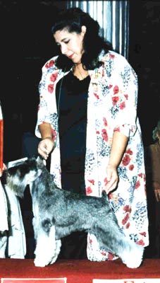 Dadi Damadobe Obreim