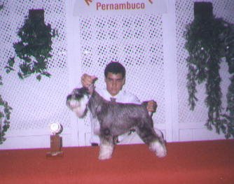 Argos Von Kiel Kennel