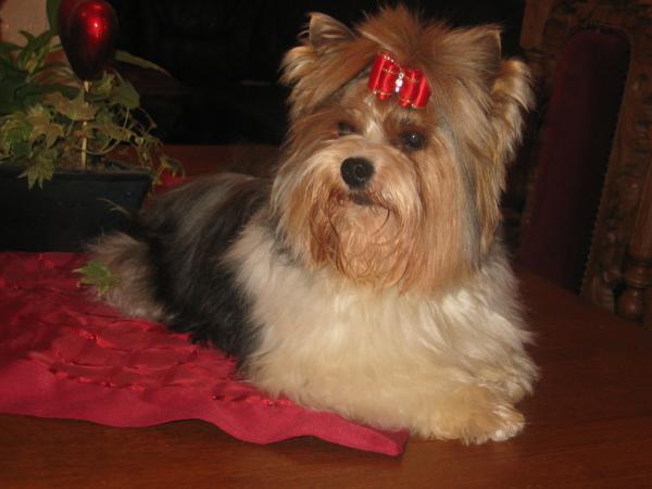 Filou the big time of Beauty sun of waterside
