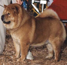 Bearkat Jeremiah