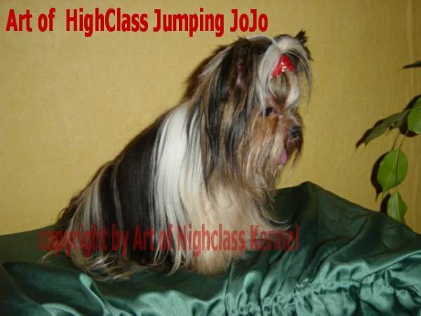 Art of Highclass Jumping Jo Jo