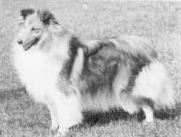 Lythwood Seanymph
