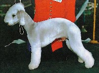 Kinterra ODRY