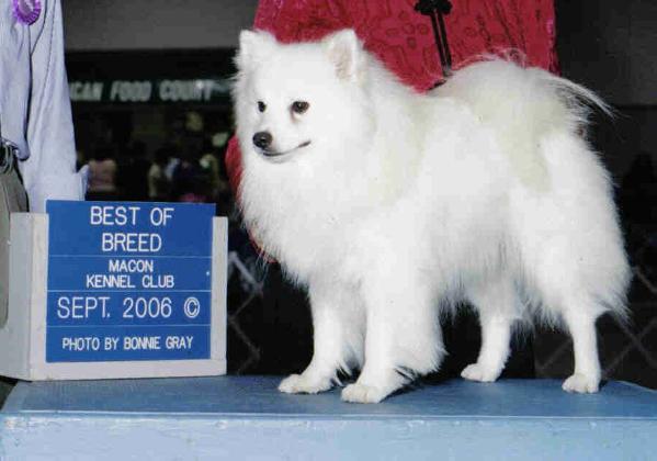 SR Snow Bandit
