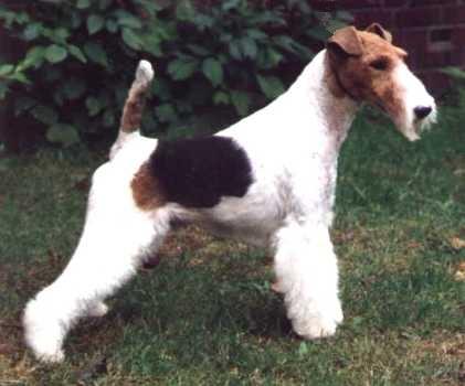 Flash von der Bismarckquelle