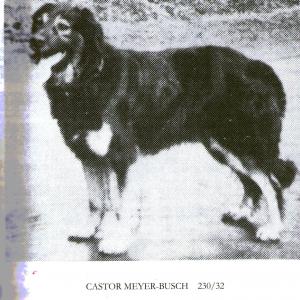 Castor (Mayer Busch) ZB 230/32