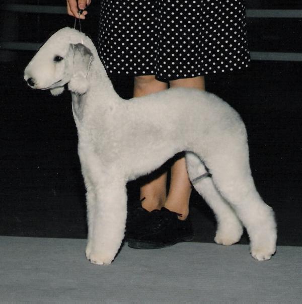 Idanha Super Model