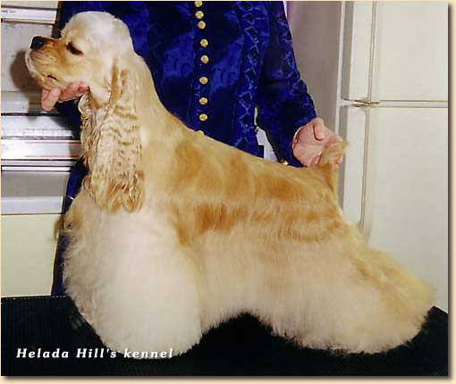 Helada Hill'S Real Fortune N'Glory