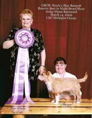 Houla's Blue Bonnet pw