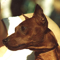 Heino V.Erikaplatz