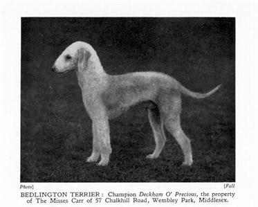 Deckham O'Precious