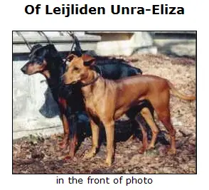 Of Leijliden UNRA ELIZA